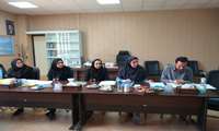جلسه ترفیع رتبه دو عضو هیئت علمی دانشکده پزشکی 